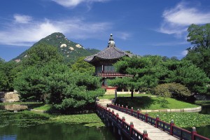 世界乒乓球家庭杯联赛：亲子赛事推动青少年兴趣延续，乒乓球全家福