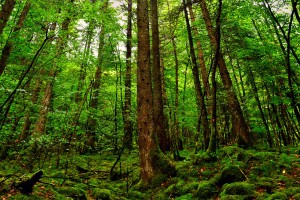 世界拳击退役运动员心理康复项目学员故事集上线，拳击运动员退役后有无后遗症